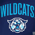 Villanova University Wildcats Dell Inspiron Skin